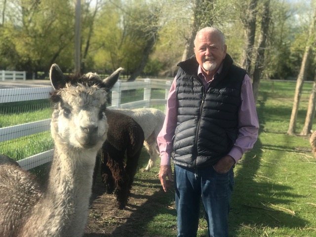 image001 Centennial Livestock Auction Co image001 Centennial Livestock Auction Co