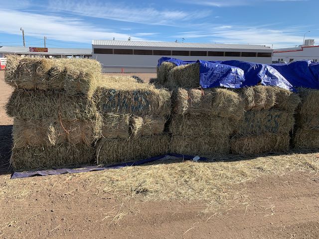 IMG 8479 Centennial Livestock Auction Co IMG 8479 Centennial Livestock Auction Co