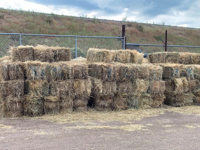 IMG 8723 Centennial Livestock Auction Co IMG 8723 Centennial Livestock Auction Co