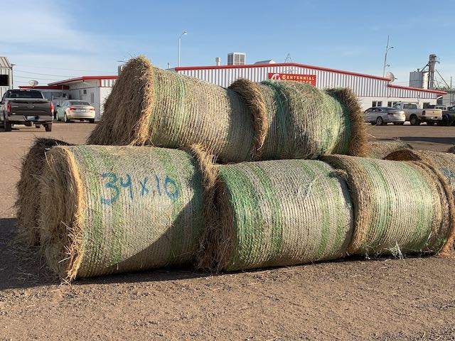 IMG 9155 Centennial Livestock Auction Co IMG 9155 Centennial Livestock Auction Co