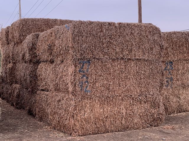 IMG 9765 Centennial Livestock Auction Co IMG 9765 Centennial Livestock Auction Co