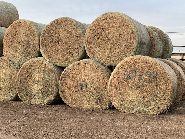 IMG 0008 Centennial Livestock Auction Co IMG 0008 Centennial Livestock Auction Co