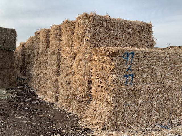 IMG 9976 Centennial Livestock Auction Co IMG 9976 Centennial Livestock Auction Co
