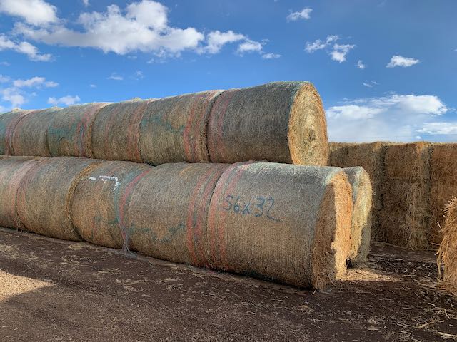 IMG 0110 Centennial Livestock Auction Co IMG 0110 Centennial Livestock Auction Co