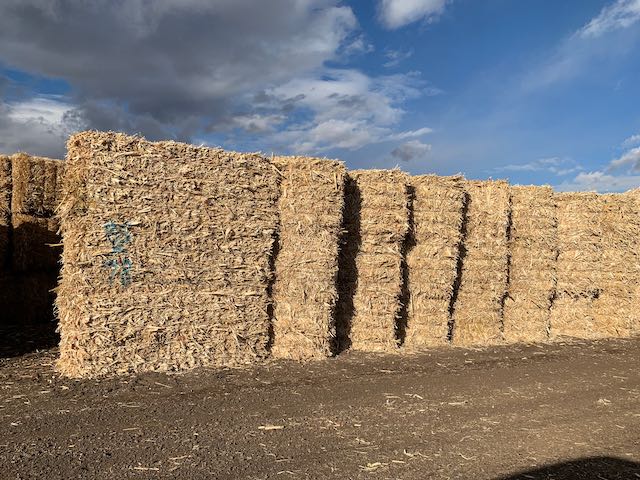 IMG 0139 Centennial Livestock Auction Co IMG 0139 Centennial Livestock Auction Co