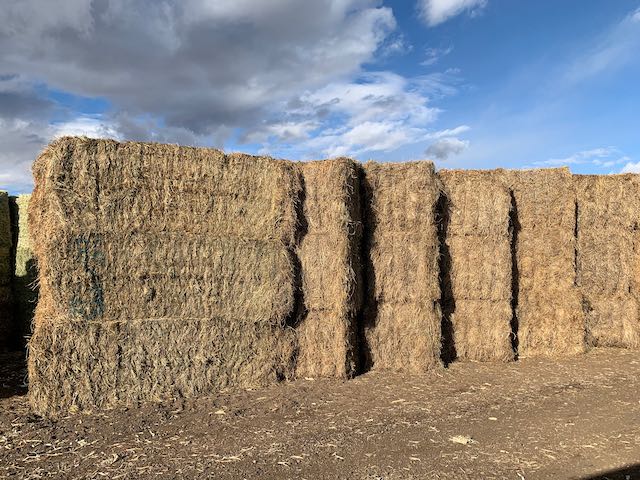 IMG 0140 Centennial Livestock Auction Co IMG 0140 Centennial Livestock Auction Co