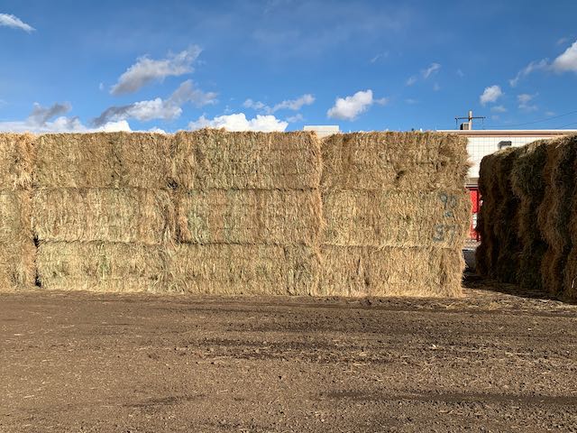 IMG 0144 Centennial Livestock Auction Co IMG 0144 Centennial Livestock Auction Co