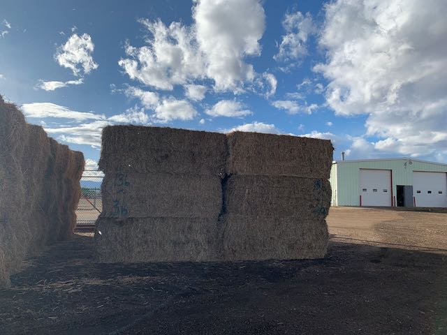 IMG 0191 Centennial Livestock Auction Co IMG 0191 Centennial Livestock Auction Co