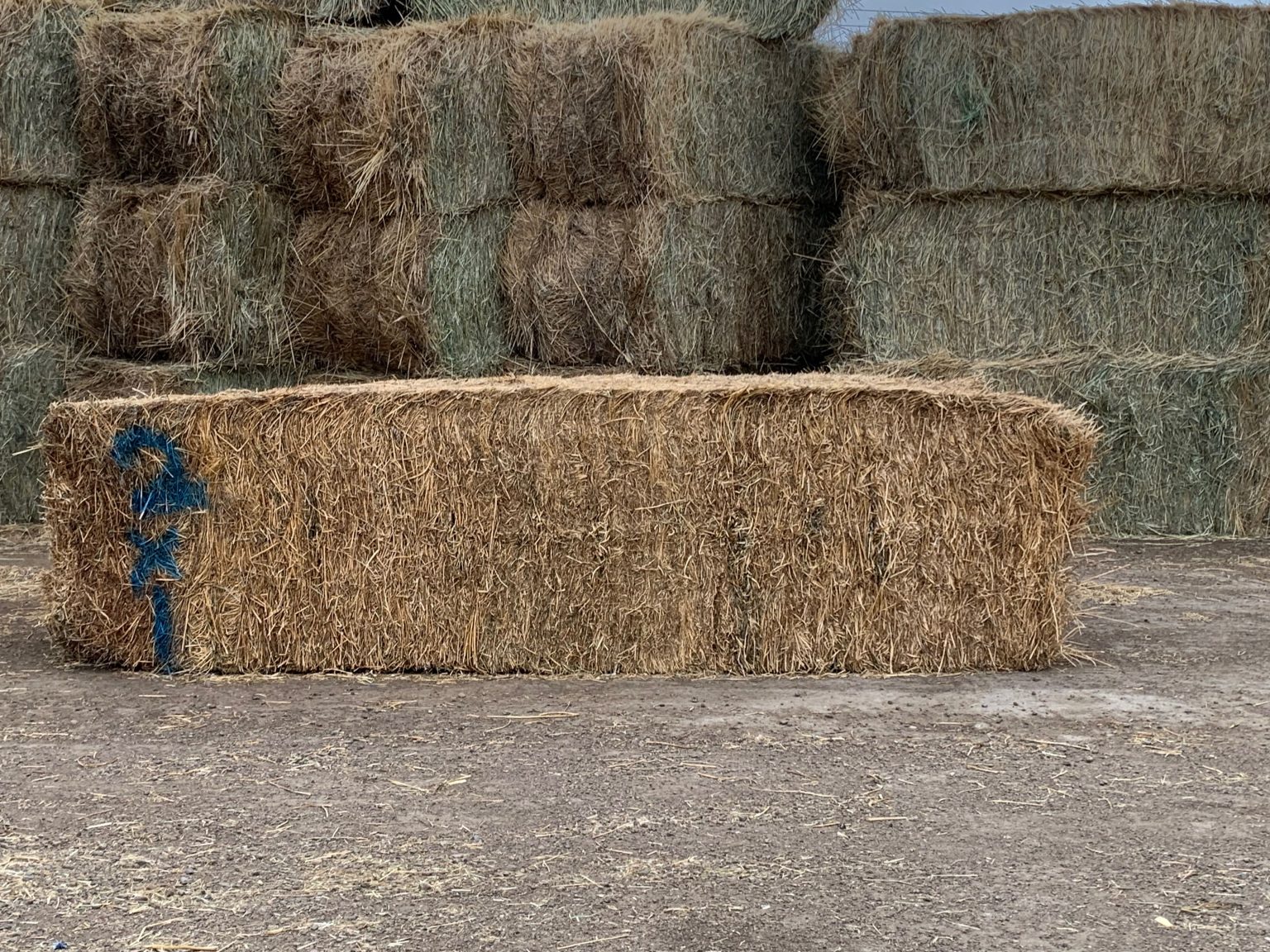 Hay Auction Centennial Livestock Auction Co.