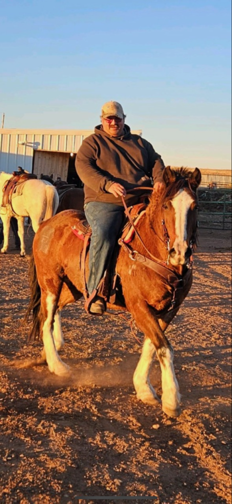 IMG 2028 Centennial Livestock Auction Co IMG 2028 Centennial Livestock Auction Co