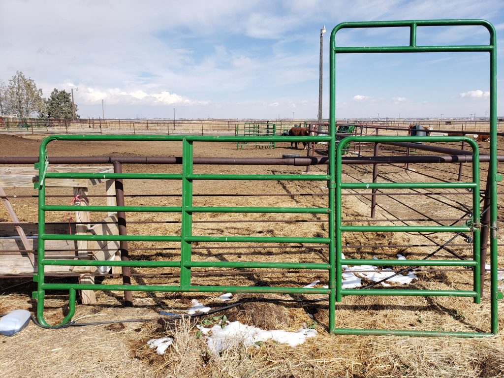 12 gate.pannel Centennial Livestock Auction Co.