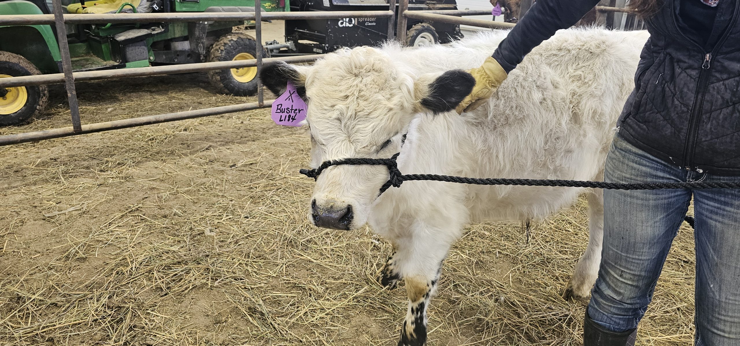 20240123 142041 Centennial Livestock Auction Co 20240123 142041 Centennial Livestock Auction Co