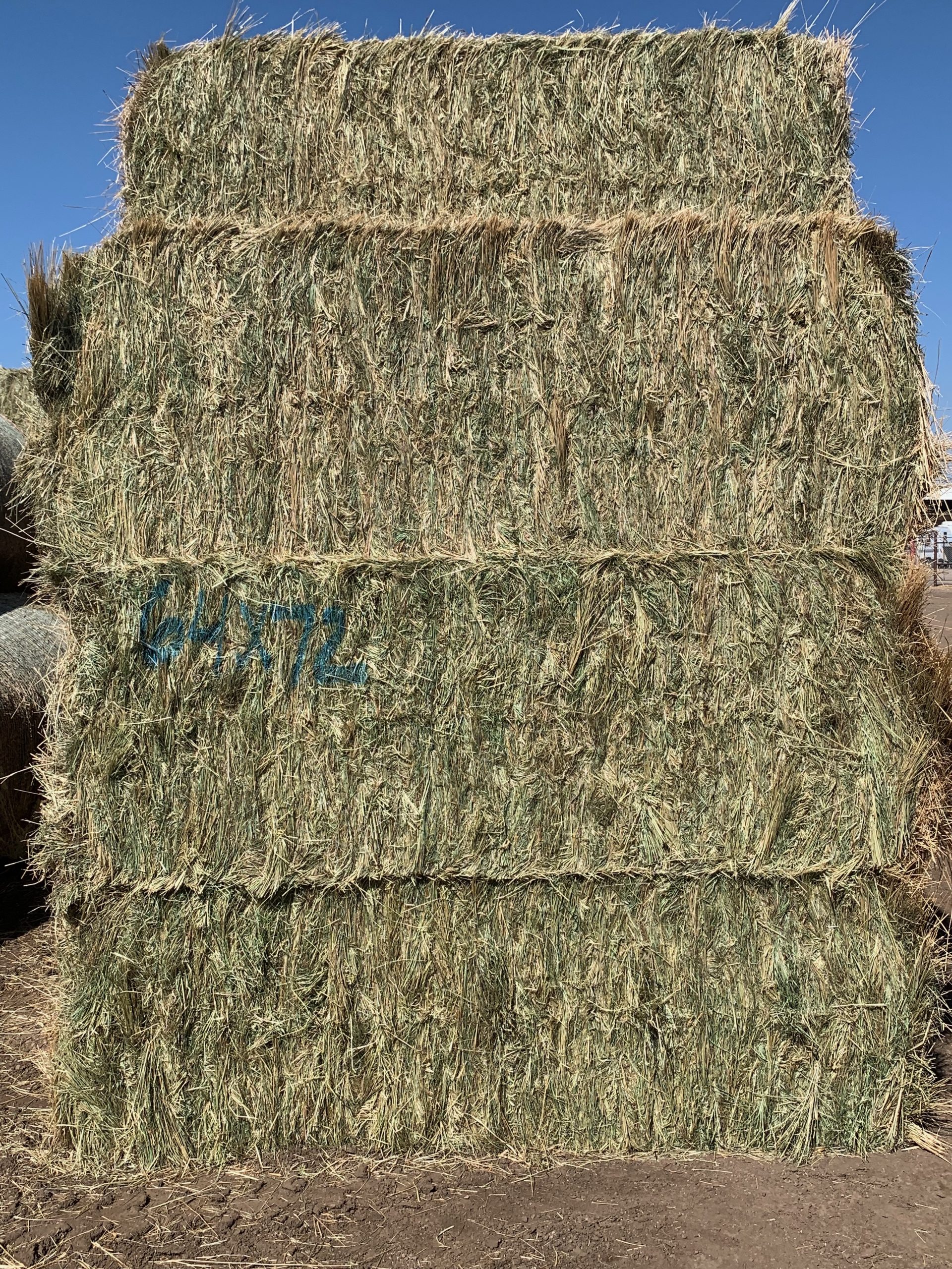 IMG_0582 Centennial Livestock Auction Co.