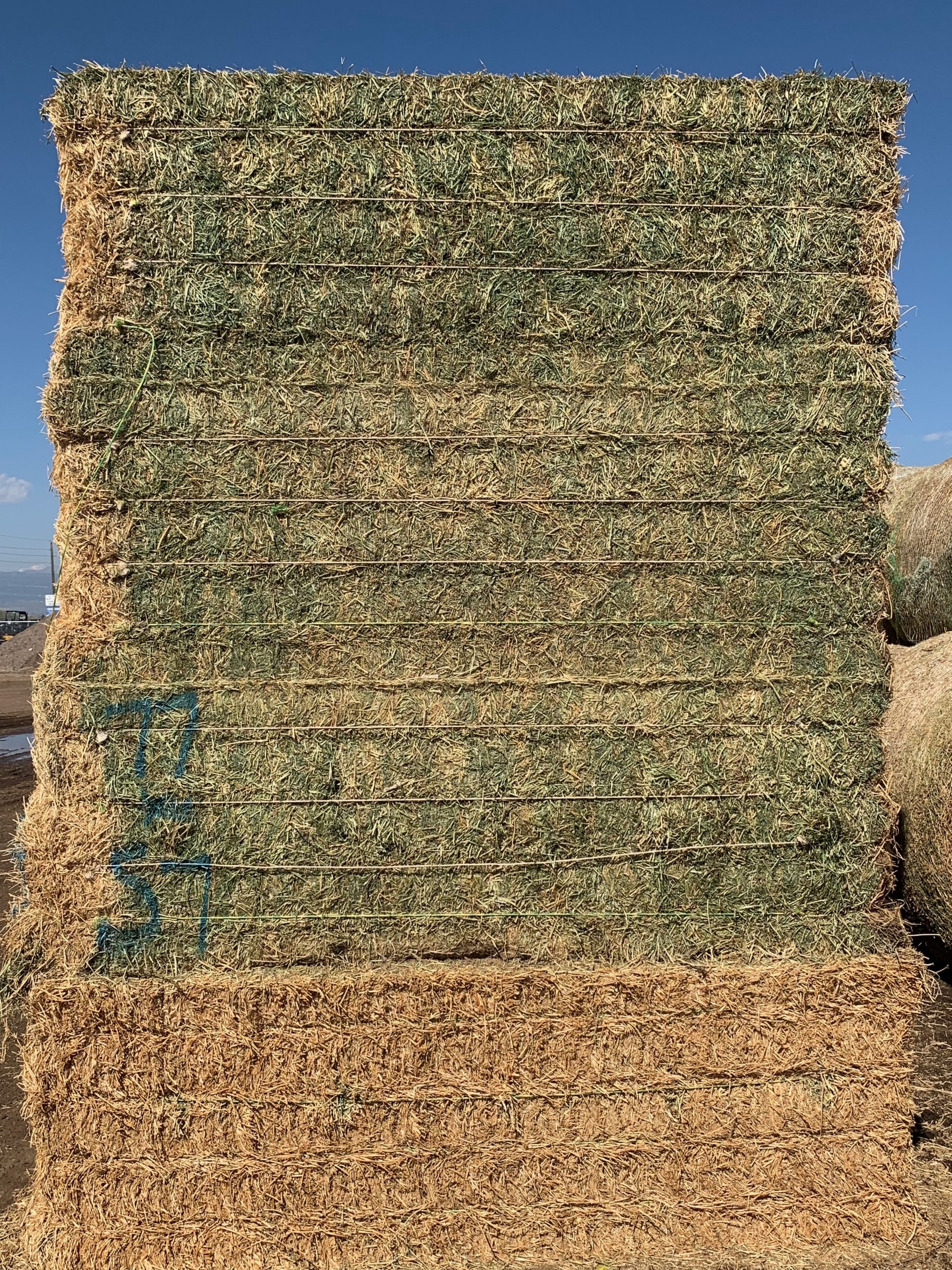 IMG_0596 Centennial Livestock Auction Co.