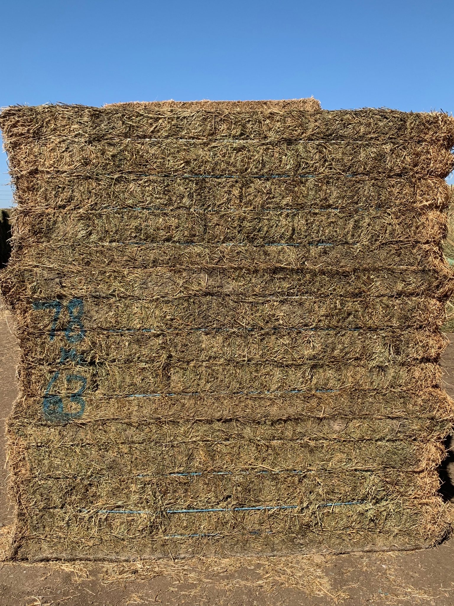 IMG_0597 Centennial Livestock Auction Co.